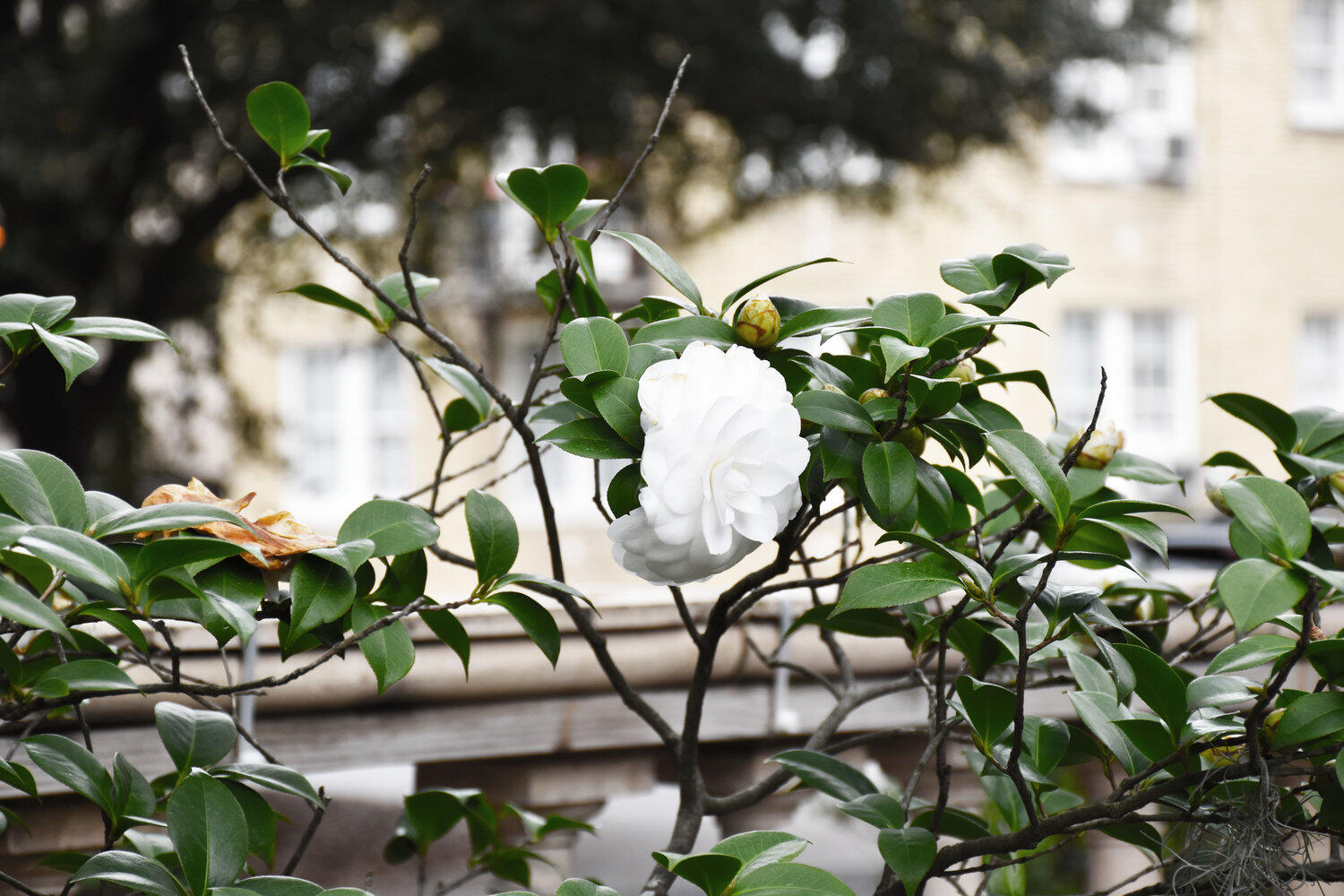 Untitled Untitled